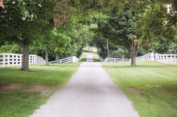 Gravel Driveway Construction in Cleveland