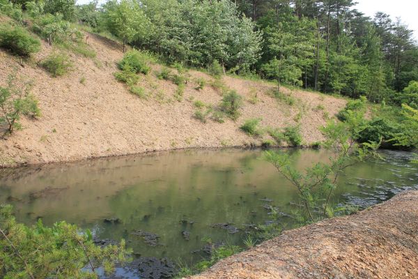 Pond Erosion Repair in Cleveland