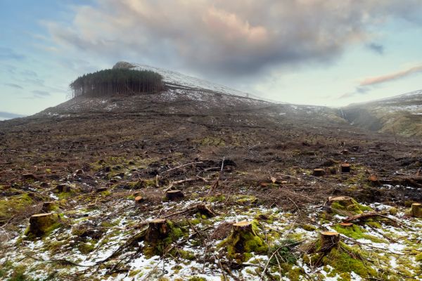 Hill Removal in Cleveland